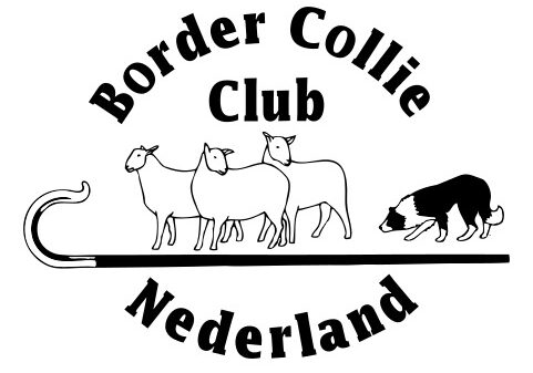 Border Collie Club Nederland