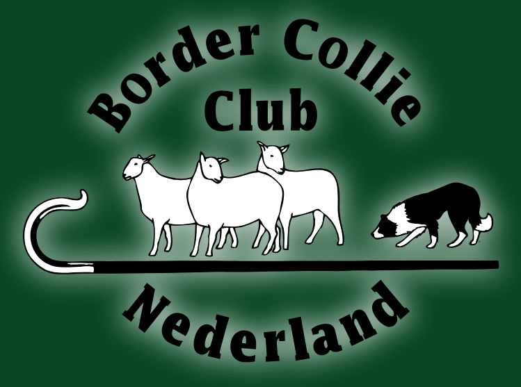 Border Collie Club Nederland